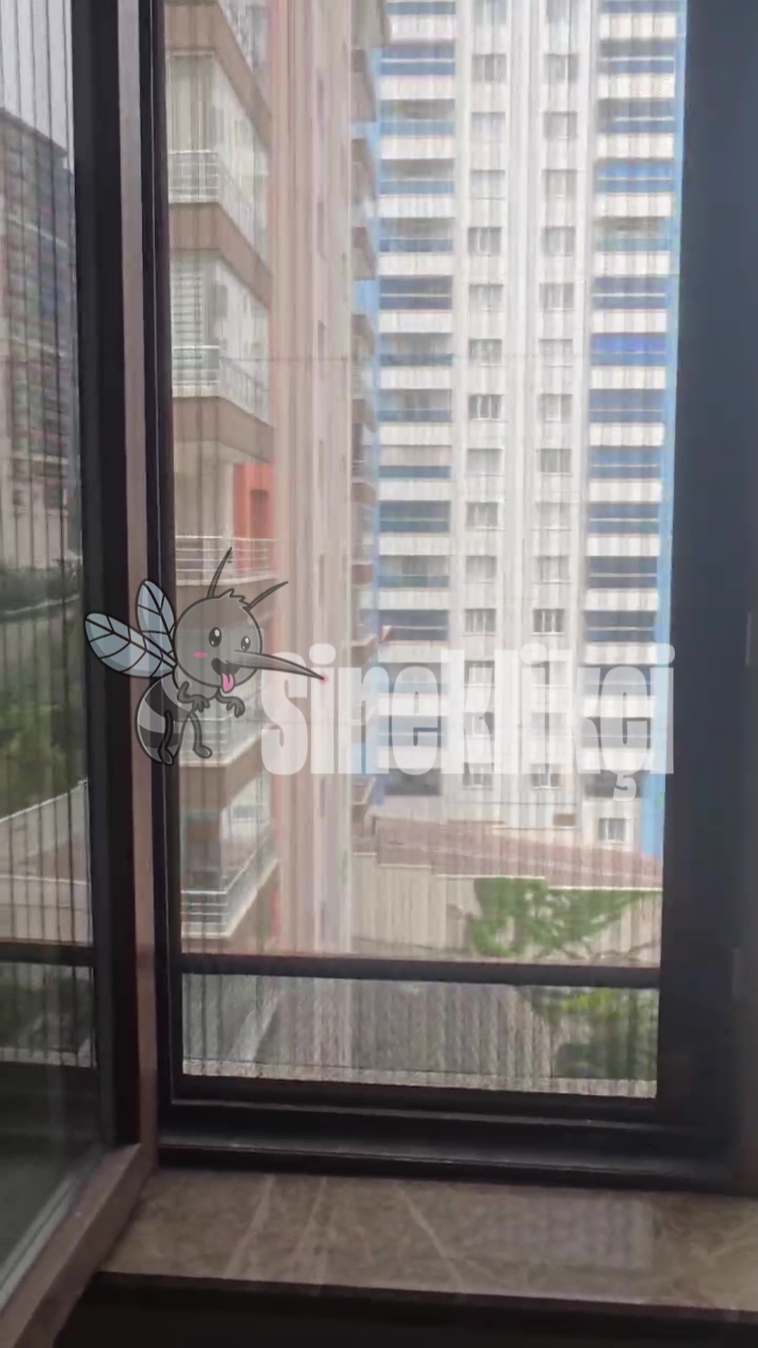 kedi bariyerli sineklik