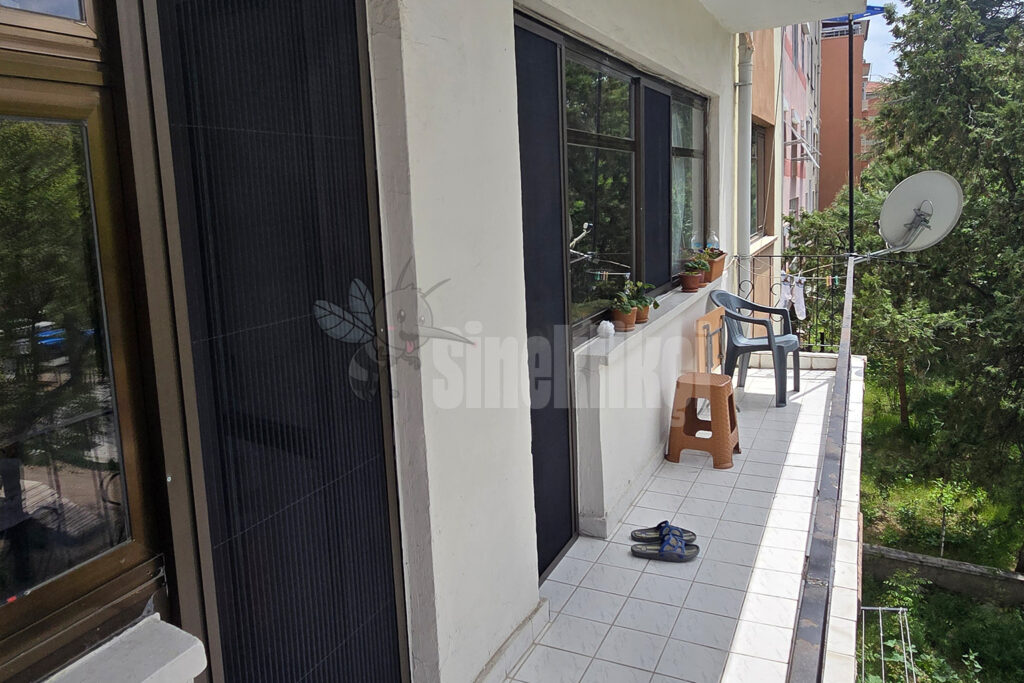 kedi sinekliği ankara