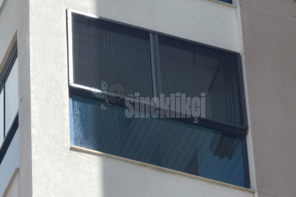 pencere sinekligi 1