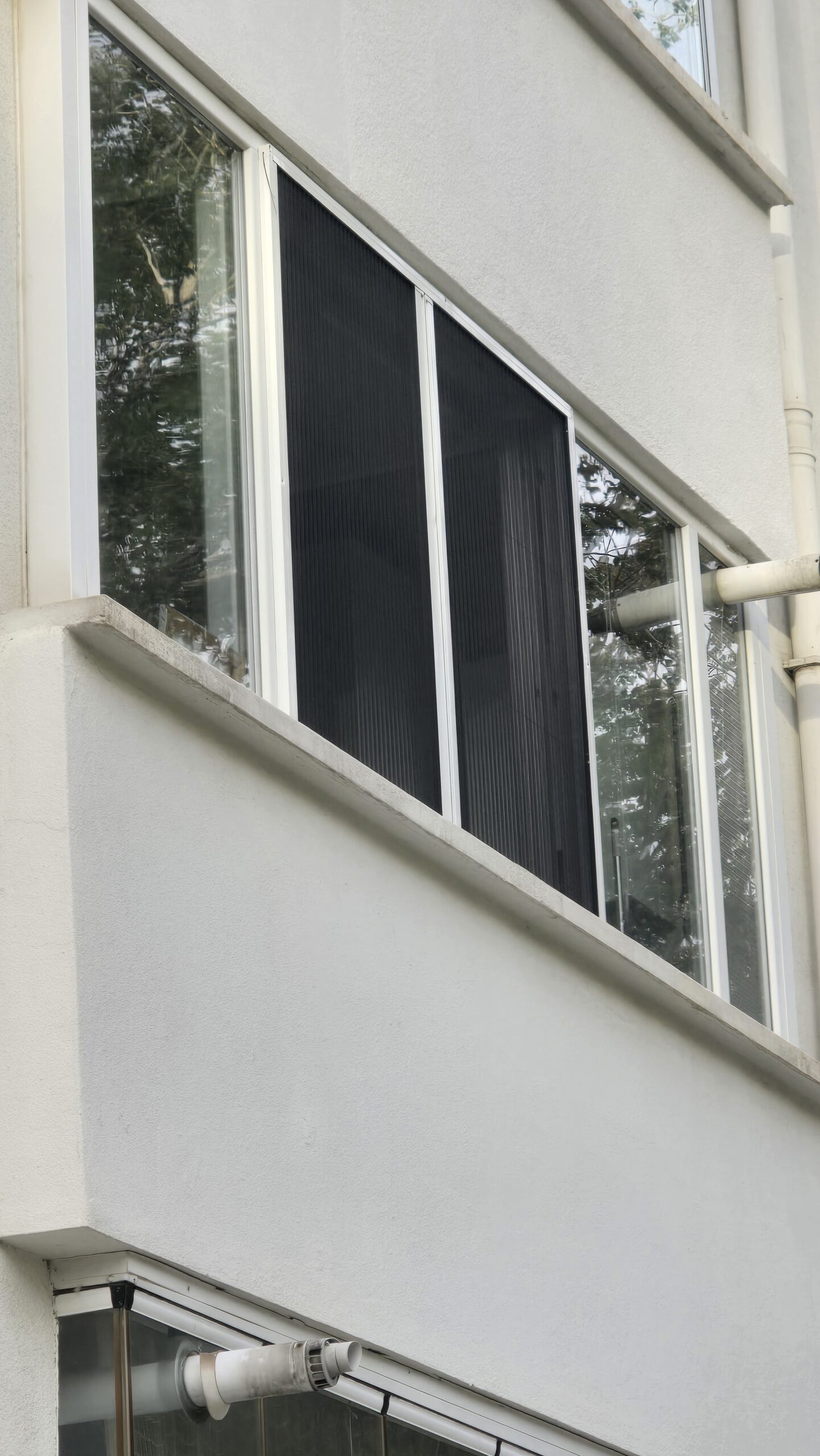 pencere sinekliği seçimi